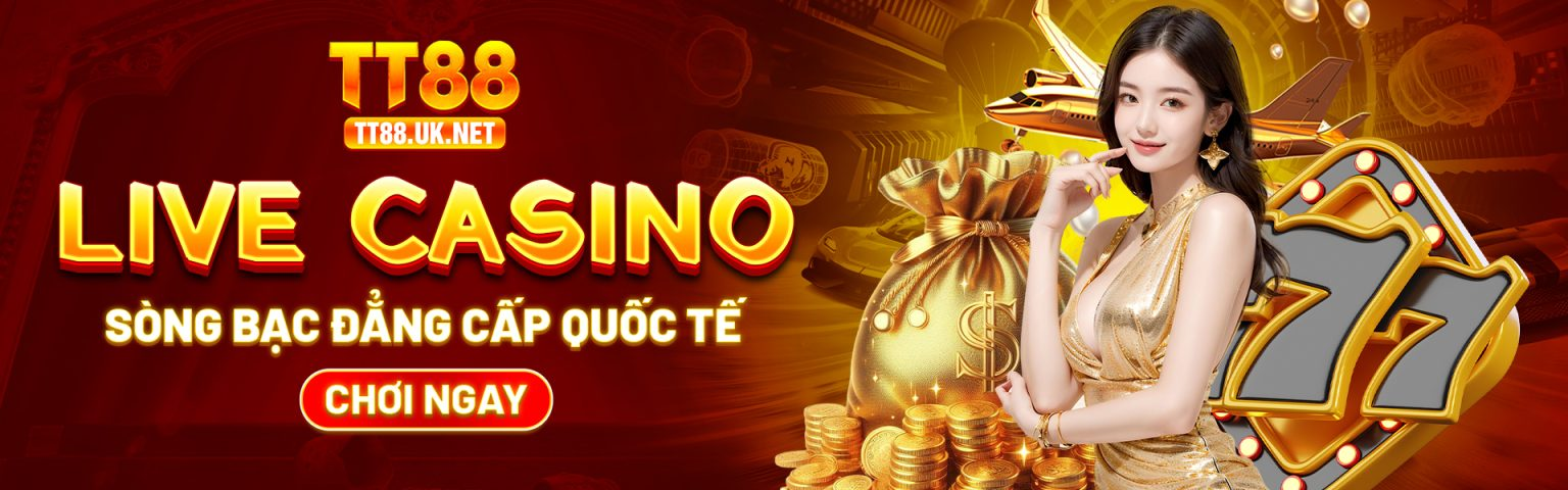 Cổng Thông Tin Điện Tử M TT88 support